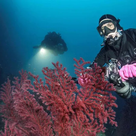 Centro Storico A Due Passi Dal Mare Con Ascensore *
