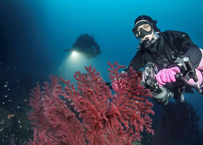 Centro Storico A Due Passi Dal Mare Con Ascensore *